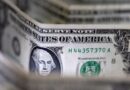 El dólar frenó las subas luego de cinco jornadas consecutivas