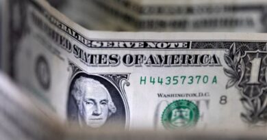 El dólar frenó las subas luego de cinco jornadas consecutivas El dólar frenó las subas luego de cinco jornadas consecutivas