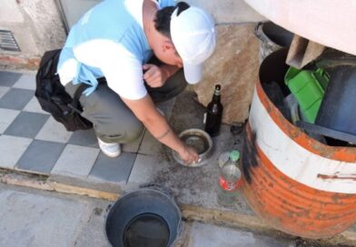 Salud notificó otros tres casos de chikungunya en el interior provincial Salud notificó otros tres casos de chikungunya en el interior provincial