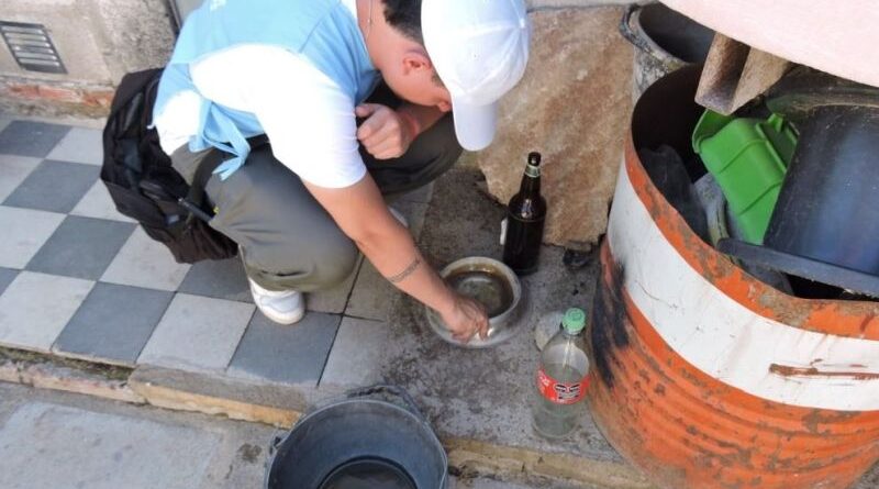 Salud notificó otros tres casos de chikungunya en el interior provincial Salud notificó otros tres casos de chikungunya en el interior provincial