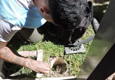 Dengue: nuevo monitoreo aédico en la ciudad Dengue: nuevo monitoreo aédico en la ciudad