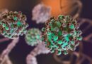 Hantavirus: se identificaron 3 nuevos casos en Argentina