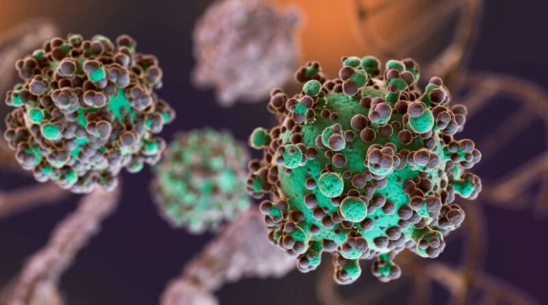 Hantavirus: se identificaron 3 nuevos casos en Argentina