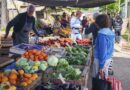 El 76% de los endeudados en Argentina recurre al crédito para pagar alimentos, salud y servicios